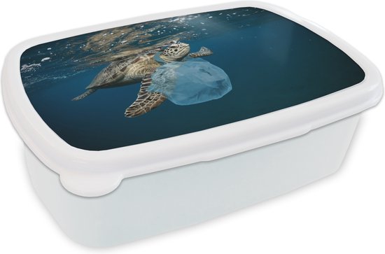 Broodtrommel Wit - Lunchbox - Brooddoos - Schildpad - Zee - Plastic -  18x12x6 cm -... | bol.com