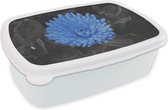 Lunch box Wit - Lunch box - Boîte à pain - Fleurs - Zwart - Wit - Blauw - 18x12x6 cm - Adultes