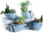 SUN-E 14 CM Blue Conch Ocean Serie Keramische Base Seriële Set Succulent Plant Pot Cactus Plant Pot Bloempot Container Planter Met Drainage Gat Idee 4 In Set