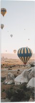 WallClassics - Vlag - Luchtballonnen boven Landschap - 20x60 cm Foto op Polyester Vlag