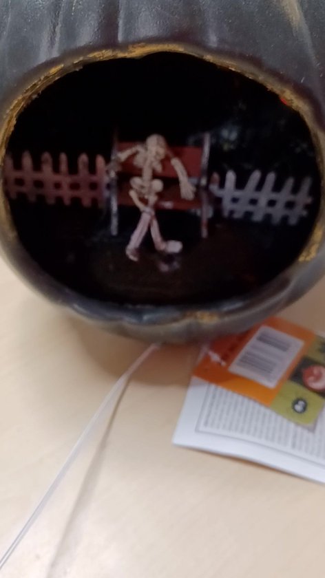 Pompoen Decoratie? Ruim aanbod, lage prijzen