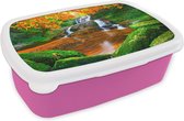 Broodtrommel Roze - Lunchbox - Brooddoos - Natuur - Waterval - Stenen - Mos - Bladeren - Groen - 18x12x6 cm - Kinderen - Meisje