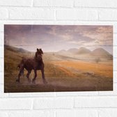 WallClassics - Muursticker - Zwart Paard in de Natuur - 60x40 cm Foto op Muursticker