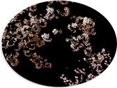 WallClassics - PVC Schuimplaat Ovaal - Wit met Roze Bloementjes met Zwarte Achtergrond - 40x30 cm Foto op Ovaal  (Met Ophangsysteem)