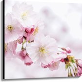 WallClassics - Canvas  - Roze Cherry Bloemen - 100x100 cm Foto op Canvas Schilderij (Wanddecoratie op Canvas)