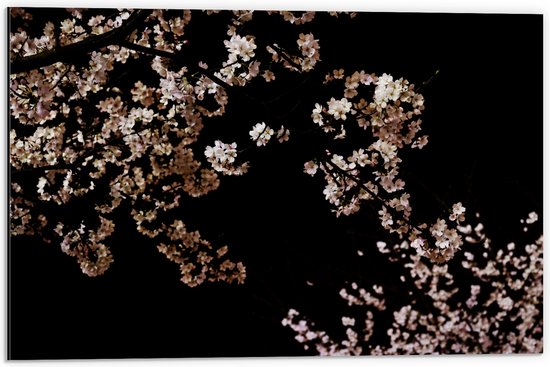 WallClassics - Dibond - Wit met Roze Bloementjes met Zwarte Achtergrond - 60x40 cm Foto op Aluminium (Met Ophangsysteem)