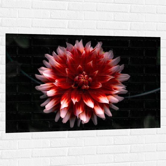 WallClassics - Muursticker - Roze met Rode Bloem - 120x80 cm Foto op Muursticker