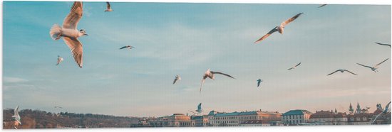 WallClassics - Vlag - Vliegende Vogels Boven een Rivier in Praag - 90x30 cm Foto op Polyester Vlag