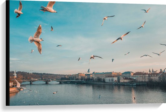 WallClassics - Canvas  - Vliegende Vogels Boven een Rivier in Praag - 90x60 cm Foto op Canvas Schilderij (Wanddecoratie op Canvas)