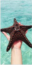 WallClassics - Poster brillant – Étoile de mer dans l' Water – Photo 50 x 100 cm sur papier poster brillant