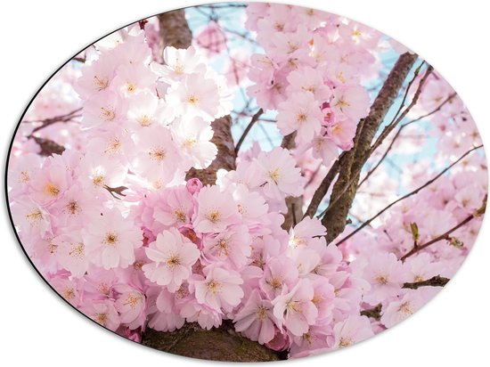 WallClassics - Dibond Oval - Fleurs roses dans un arbre - 56x42 cm Photo sur ovale (avec système de suspension)