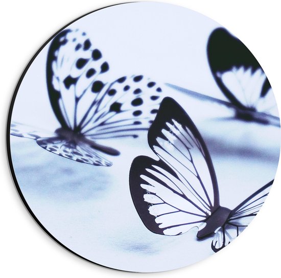 WallClassics - Dibond Muurcirkel - Zwarte Vlinders op Witte Achtergrond - 20x20 cm Foto op Aluminium Muurcirkel (met ophangsysteem)