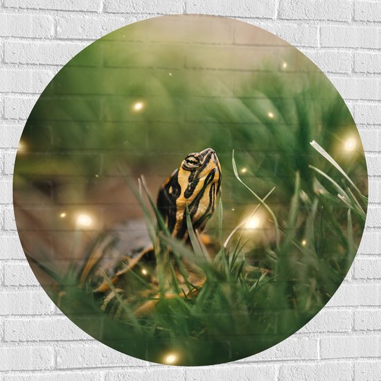 WallClassics - Muursticker Cirkel - Zwart met Gele Slang tussen het Groene Gras - 100x100 cm Foto op Muursticker