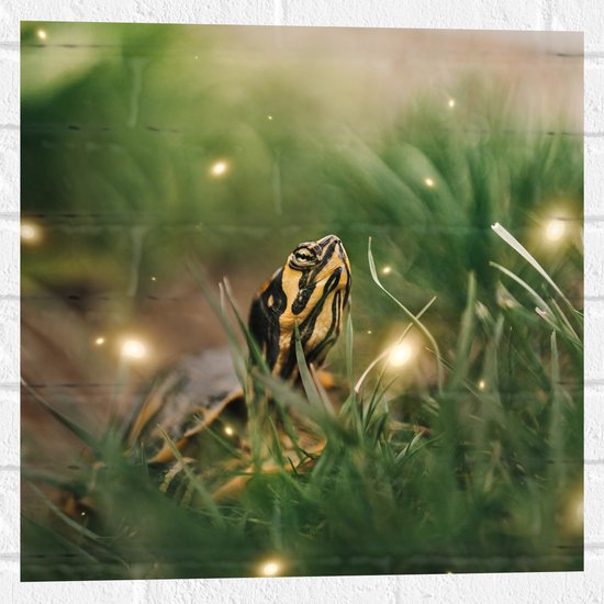 WallClassics - Muursticker - Zwart met Gele Slang tussen het Groene Gras - 50x50 cm Foto op Muursticker