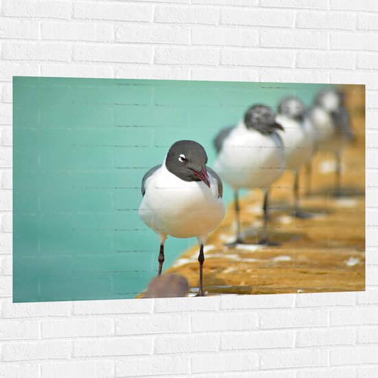 WallClassics - Muursticker - Vogels sur l'échafaudage - 120x80 cm Photo sur Muursticker