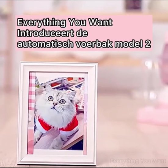RVS voerbak kopen? - België - Dat doe je goed