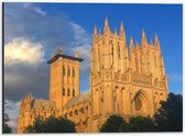 WallClassics - Dibond - Washington National Cathedral - Kathedraal - 40x30 cm Foto op Aluminium (Wanddecoratie van metaal)