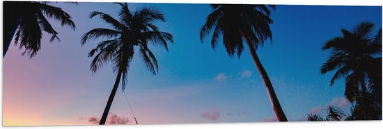 WallClassics - Vlag - Silhouet van Persoon op Schommel met Palmbomen - 120x40 cm Foto op Polyester Vlag