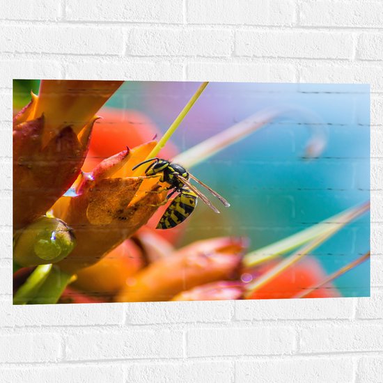 WallClassics - Muursticker - Bij op Rode Bloemen - 75x50 cm Foto op Muursticker