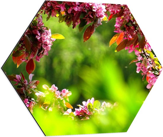 WallClassics - Dibond Hexagon - Roze Bladeren aan Tak - 80x69.6 cm Foto op Hexagon (Met Ophangsysteem)