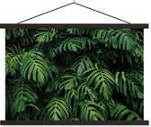 Porte-affiche avec affiche - Affiche scolaire - Feuilles - Monstera - Abstrait - Filles - Enfants - Garçons - 120x80 cm - Lattes noires