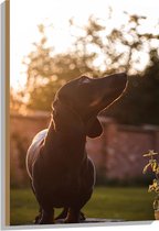 WallClassics - Hout - Artistieke Zwarte Hond - 60x90 cm - 12 mm dik - Foto op Hout (Met Ophangsysteem)