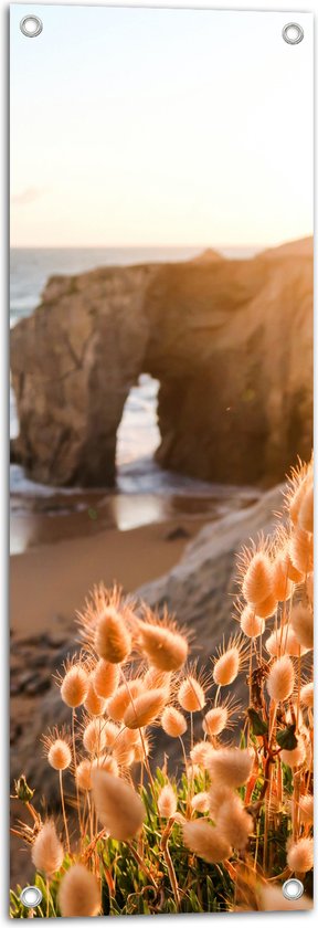 WallClassics - Tuinposter – Rots aan het Water net Hazenstaart Planten - 30x90 cm Foto op Tuinposter  (wanddecoratie voor buiten en binnen)