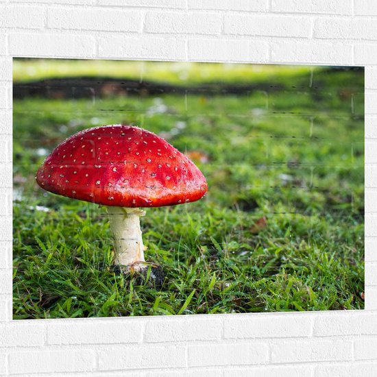 WallClassics - Muursticker - Rood met Witte Paddenstoel - 100x75 cm Foto op Muursticker