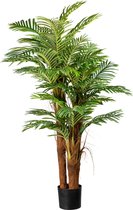 Kopu® Kunstplant Arecapalm 160 cm 3 Stammen - zwarte pot - Nepplant