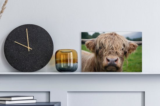 Toile Highlander écossais poilue 2cm