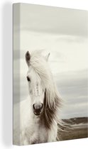 Portrait d'un cheval blanc au bord de la mer toile 2cm 80x120 cm - Tirage photo sur toile (Décoration murale salon / chambre) / Animaux de la ferme Peintures sur toile