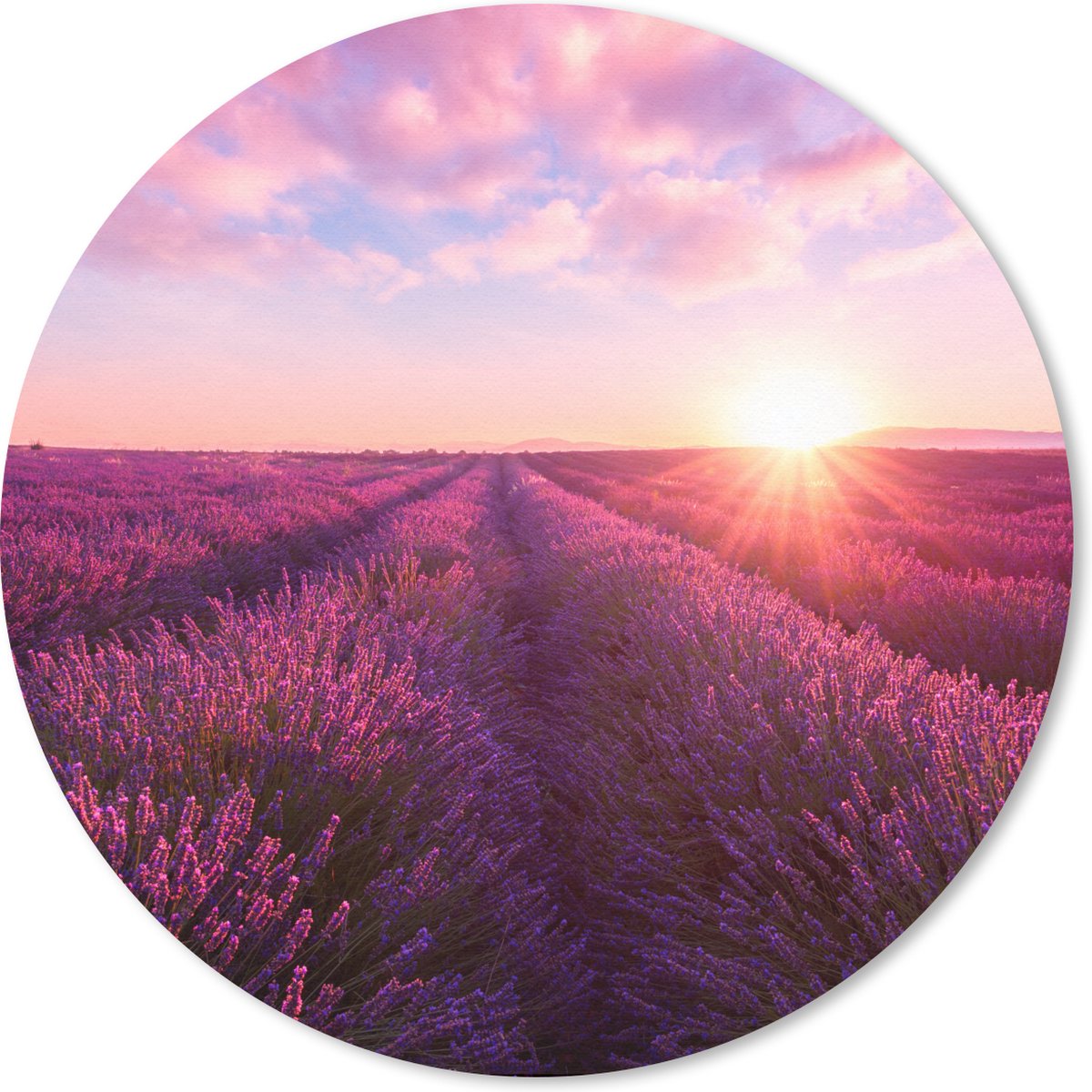 Muismat rond 40x40 cm - Mousepad Lavendel - Bloemen - Frankrijk - Ronde muismatten