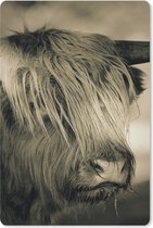 Muismat - Mousepad - Schotse Hooglander - Dieren - Haar - 18x27 cm - Muismatten