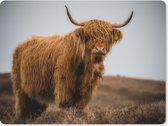 Muismat - Mousepad - Schotse Hooglander - Duin - Gras - 23x19 cm - Muismatten