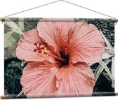 WallClassics - Textielposter - Shoeblackplant Roze - 90x60 cm Foto op Textiel