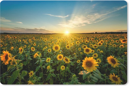 Foto: Muismat mousepad zonsondergang bloemen zonnebloem horizon landschap 27x18 cm muismatten