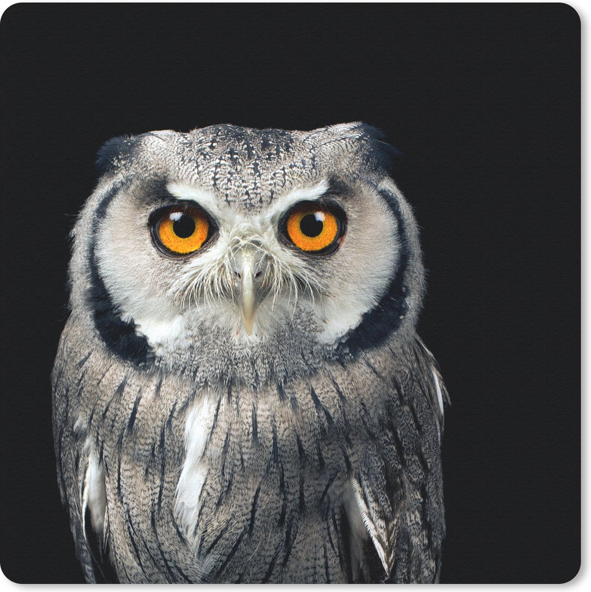 Muismat 30x30 cm - Mousepad Uil - Vogel - Oranje - Zwart - Muismatten