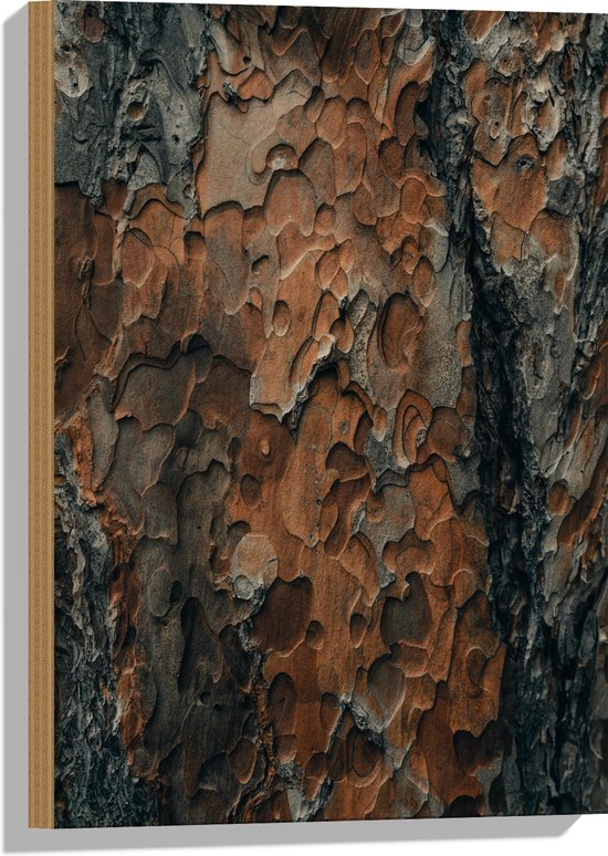 WallClassics - Hout - Bruin/zwarte Boomschors - 40x60 cm - 12 mm dik - Foto op Hout (Met Ophangsysteem)