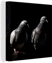 Deux beaux pigeons sur une toile de fond noir 90x90 cm - Tirage photo sur toile (Décoration murale salon / chambre)