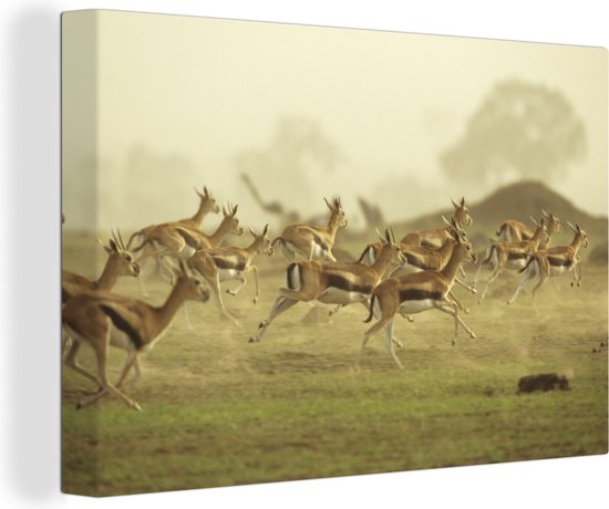 Vele Gazelle's lopend over de vlaktes van Afrika Canvas 120x80 cm - Foto print op Canvas schilderij (Wanddecoratie woonkamer / slaapkamer) / Wilde dieren Canvas Schilderijen