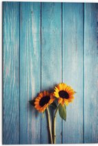 WallClassics - Dibond - Zonnebloemen met Blauwe Schutting - 50x75 cm Foto op Aluminium (Wanddecoratie van metaal)