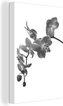 Canvas schilderij 120x180 cm - Wanddecoratie Orchidee tegen witte achtergrond - zwart wit - Muurdecoratie woonkamer - Slaapkamer decoratie - Kamer accessoires - Schilderijen