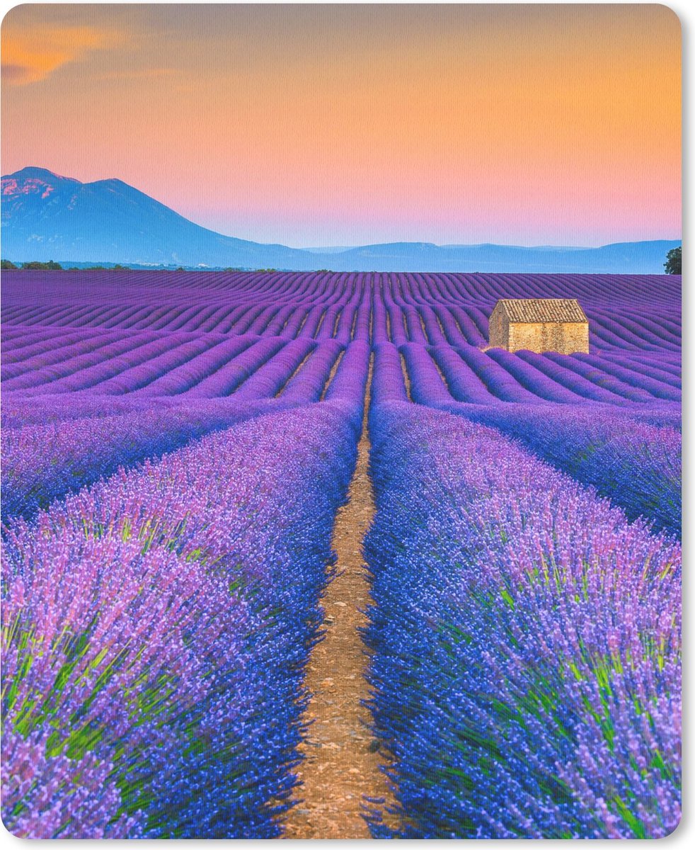 Muismat Groot - Lavendel - Paars - Bloemen - 30x40 cm - Mousepad - Muismat