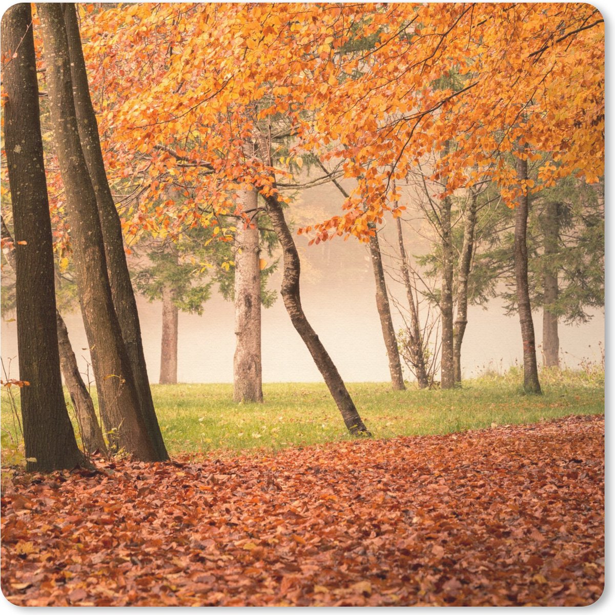 Muismat 20x20 cm - Mousepad Bladeren - Herfst - Bos - Muismatten
