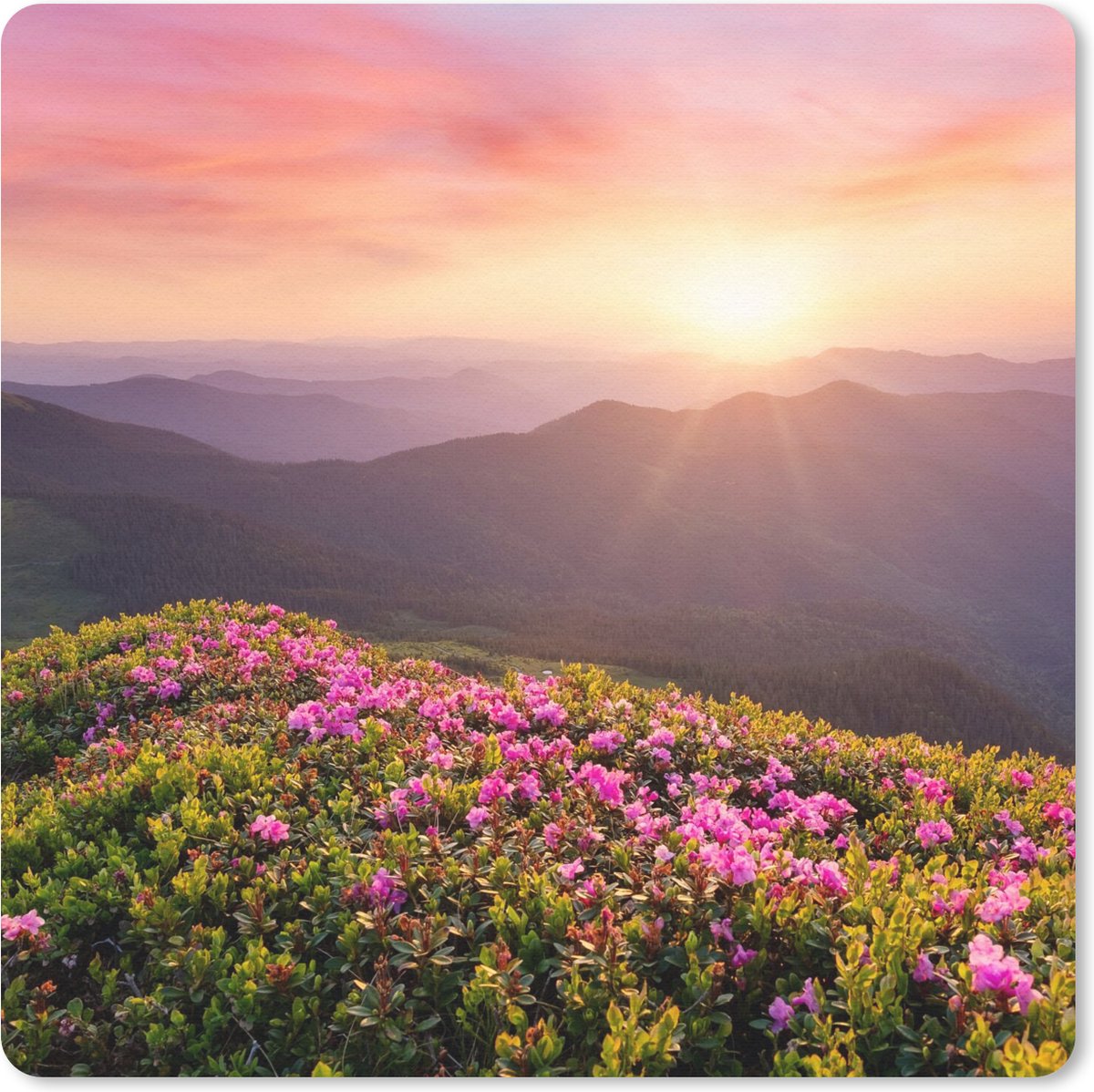 Muismat 30x30 cm - Mousepad Bloemen - Berg - Zonsondergang - Landschap - Muismatten