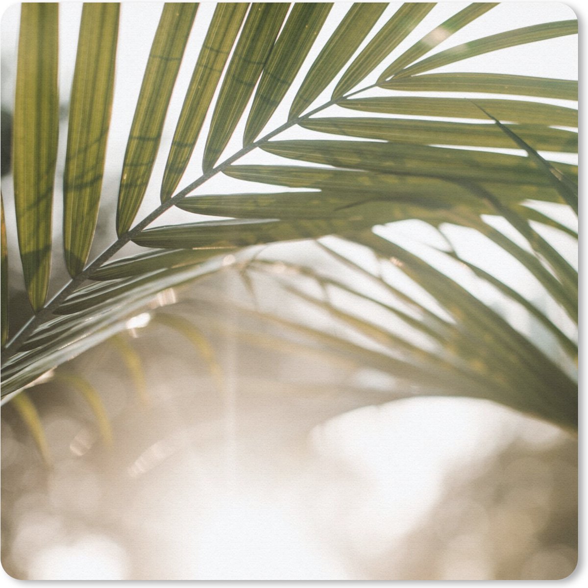 Muismat 30x30 cm - Mousepad Palmboom - Palmblad - Zon - Zomer - Muismatten