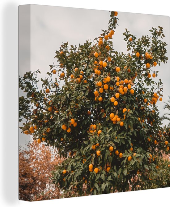 Canvas Schilderij Sinaasappelboom - Fruit - Oranje - 90x90 cm - Wanddecoratie
