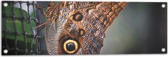 WallClassics - Tuinposter – Bruine Vlinder op het Hek - 90x30 cm Foto op Tuinposter  (wanddecoratie voor buiten en binnen)
