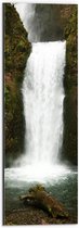 WallClassics - Dibond - Witte Waterval met Mos - 20x60 cm Foto op Aluminium (Met Ophangsysteem)
