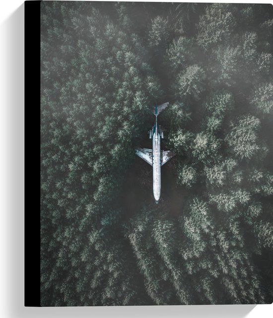 WallClassics - Canvas  - Neergestort Vliegtuig in Bos - 30x40 cm Foto op Canvas Schilderij (Wanddecoratie op Canvas)